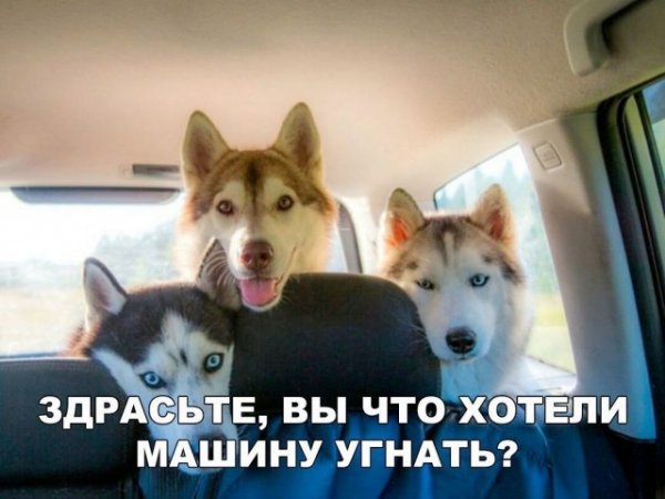 Чуток картинок