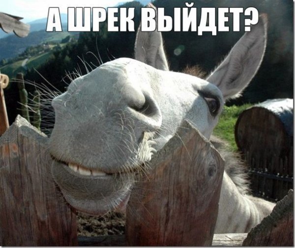 Чуток картинок