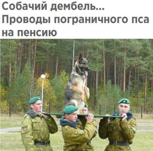 Чуток картинок