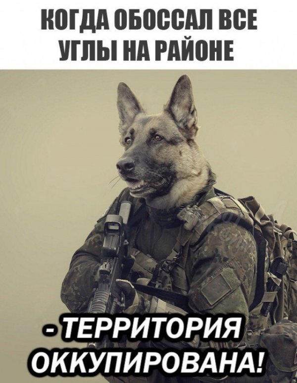 Чуток картинок