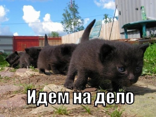 Чуток картинок