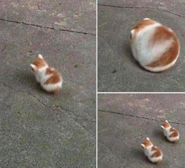 Нестандартный юмор :)