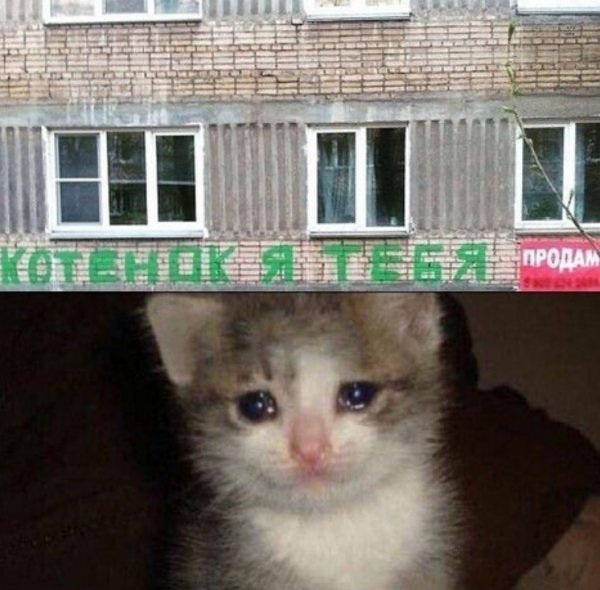 Нестандартный юмор :)