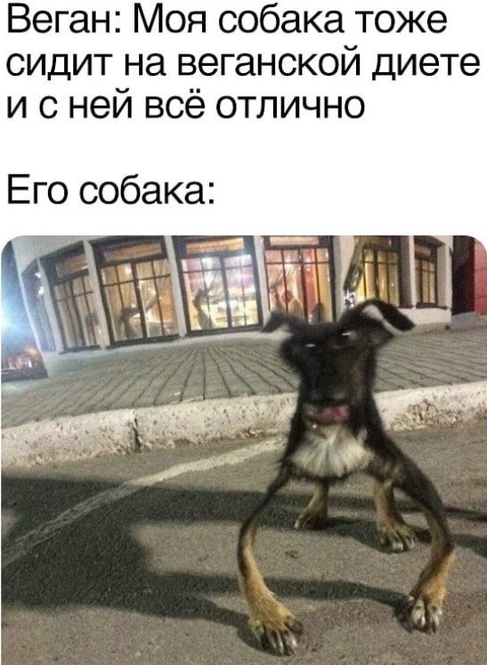 Нестандартный юмор :)