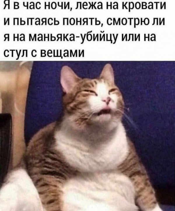 Нестандартный юмор :)