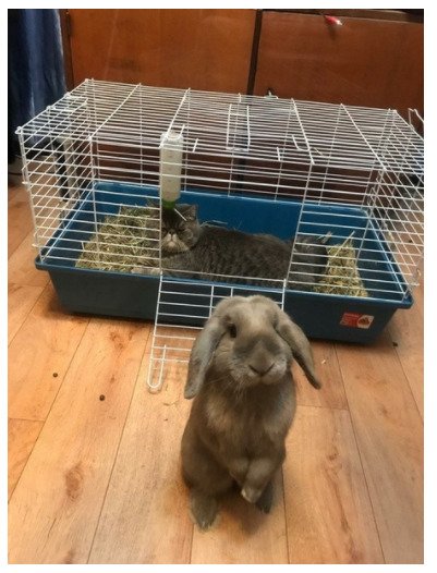 Так себе картинки