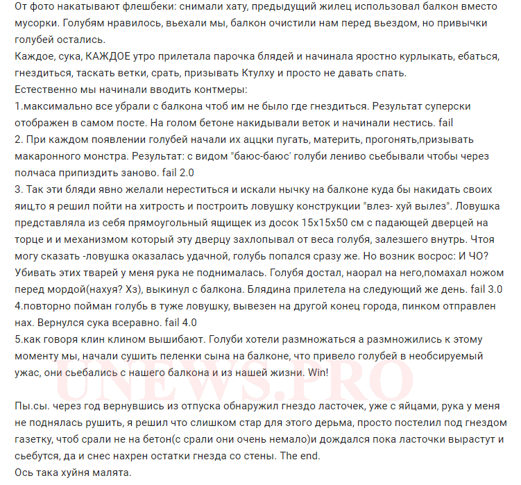 Как я с голубями боролся