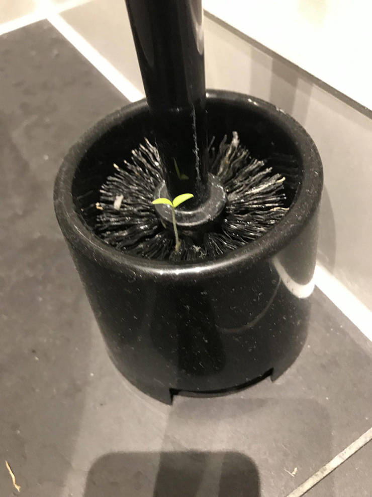 Смешные картинки вечер 10 июня 2020