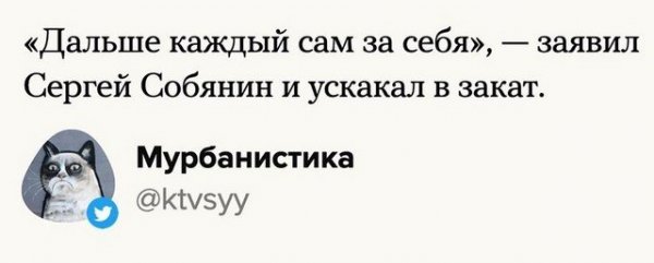 Сергей Собянин отменил карантин и победил коронавирус: лучшие мемы