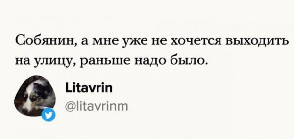Сергей Собянин отменил карантин и победил коронавирус: лучшие мемы