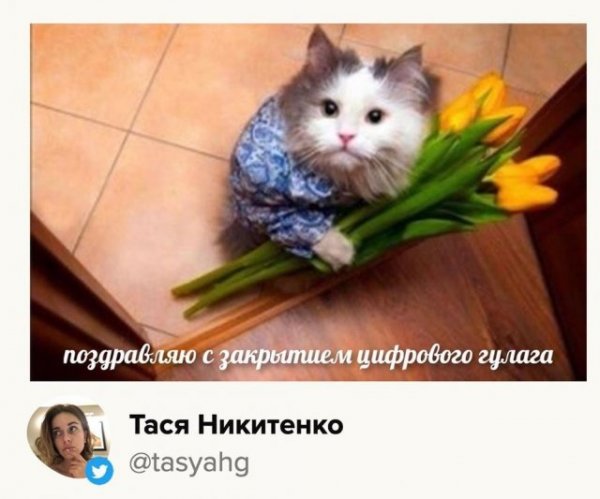 Сергей Собянин отменил карантин и победил коронавирус: лучшие мемы