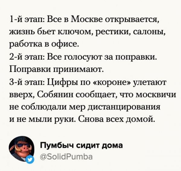 Сергей Собянин отменил карантин и победил коронавирус: лучшие мемы