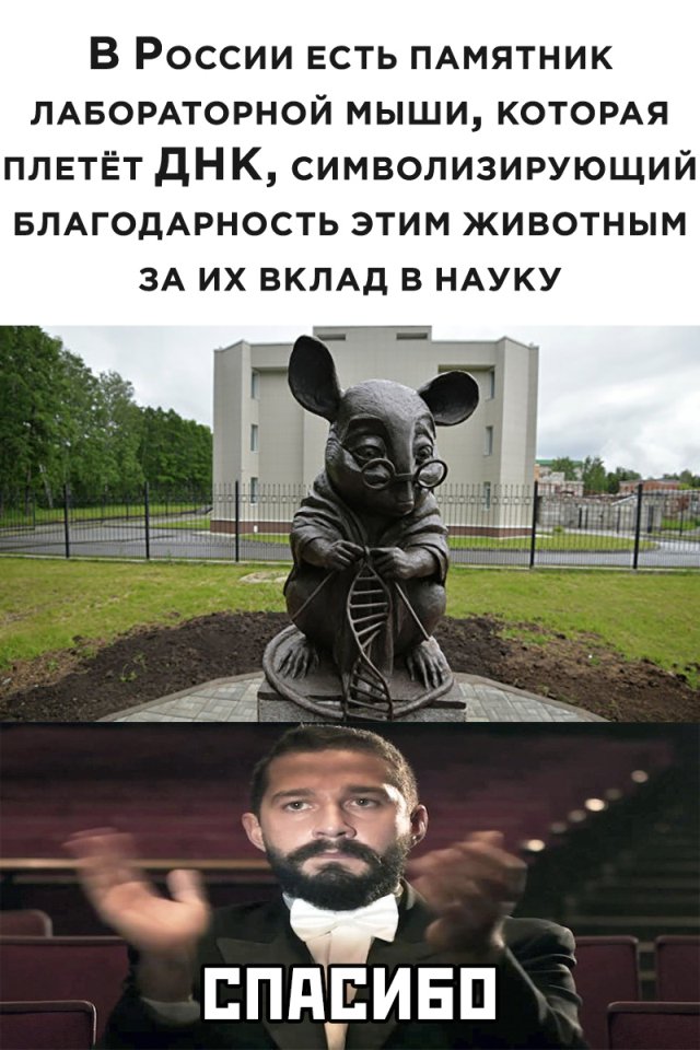 Смешные фото вечер 12 июня 2020