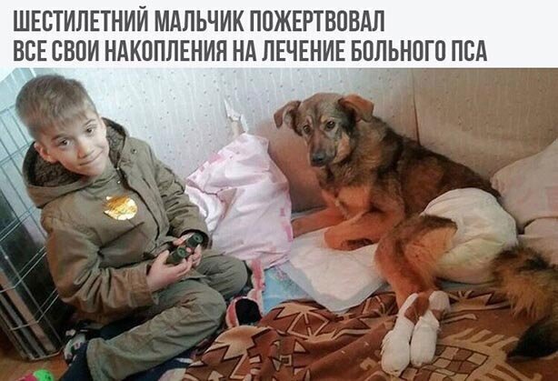 Прикольные и смешные картинки