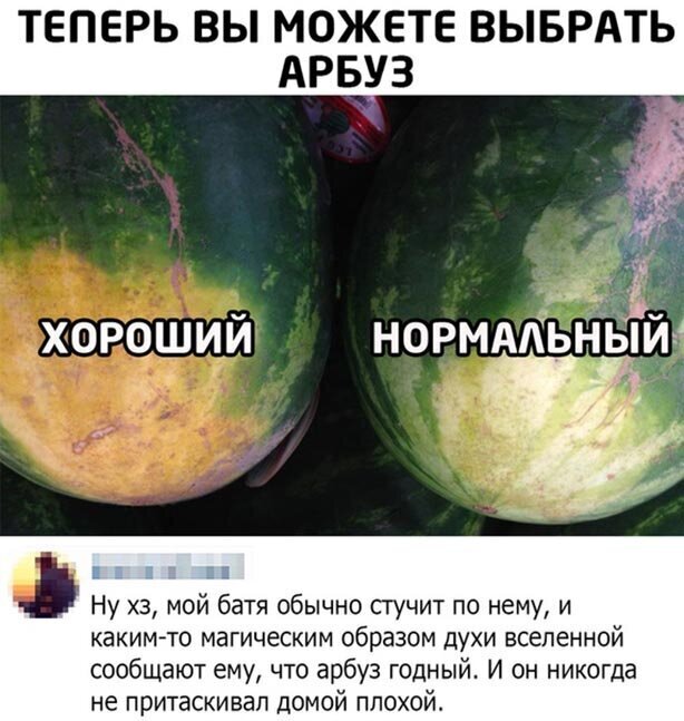 Прикольные и смешные картинки