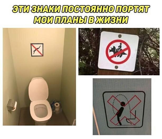 Прикольные и смешные картинки