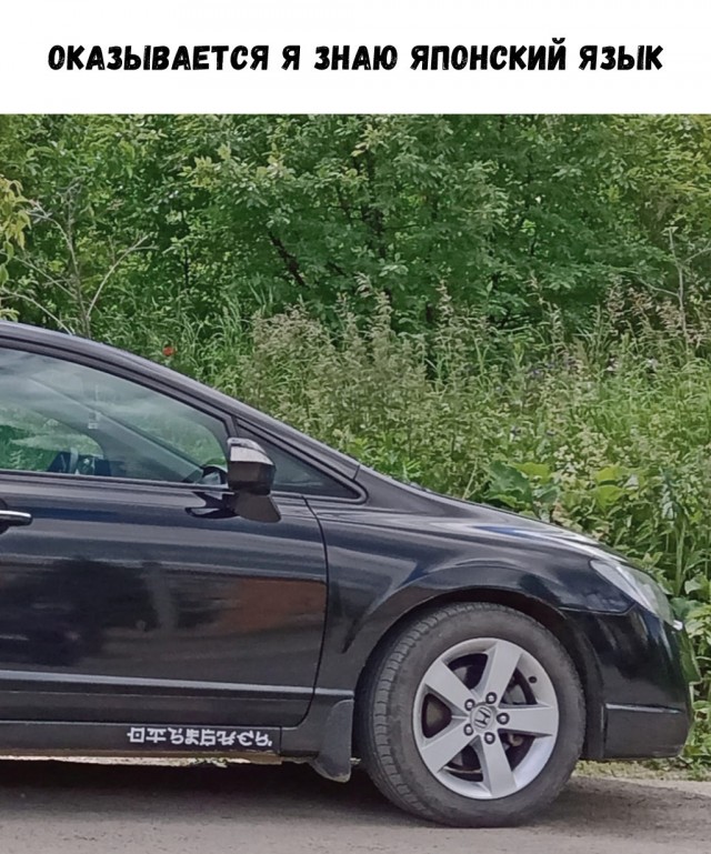 Смешные фото вечер 19 июня 2020