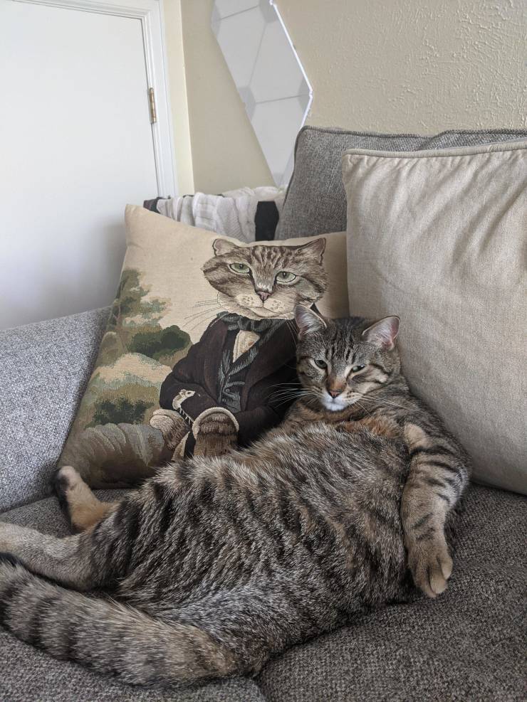 Смешные фото вечер 19 июня 2020