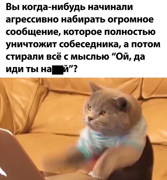 Смешные фото вечер 19 июня 2020