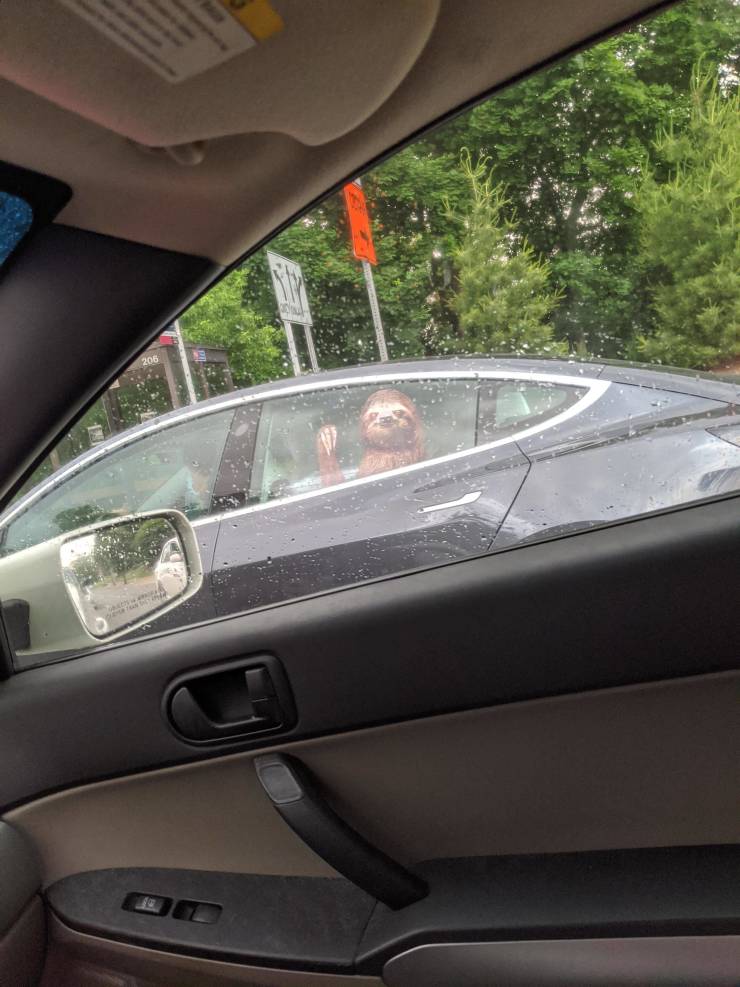 Смешные фото вечер 19 июня 2020