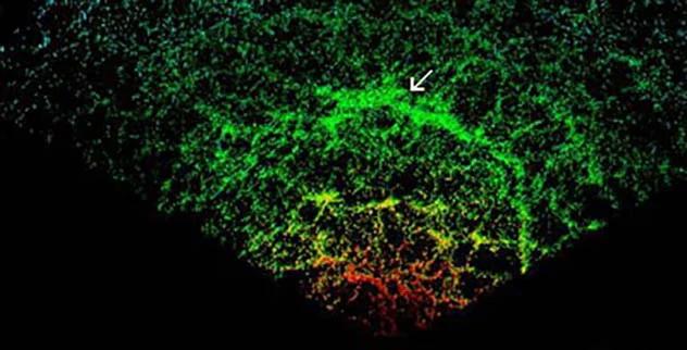 Самые необычные объекты во Вселенной