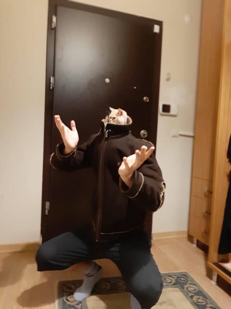 Смешные фото вечер 22 июня 2020