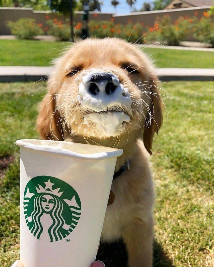 Смешные фото вечер 22 июня 2020