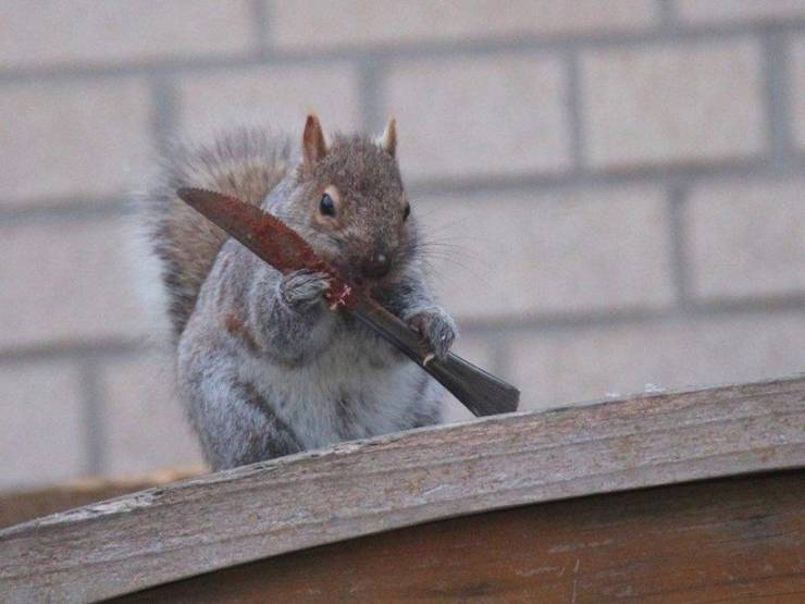 Смешные фото вечер 22 июня 2020