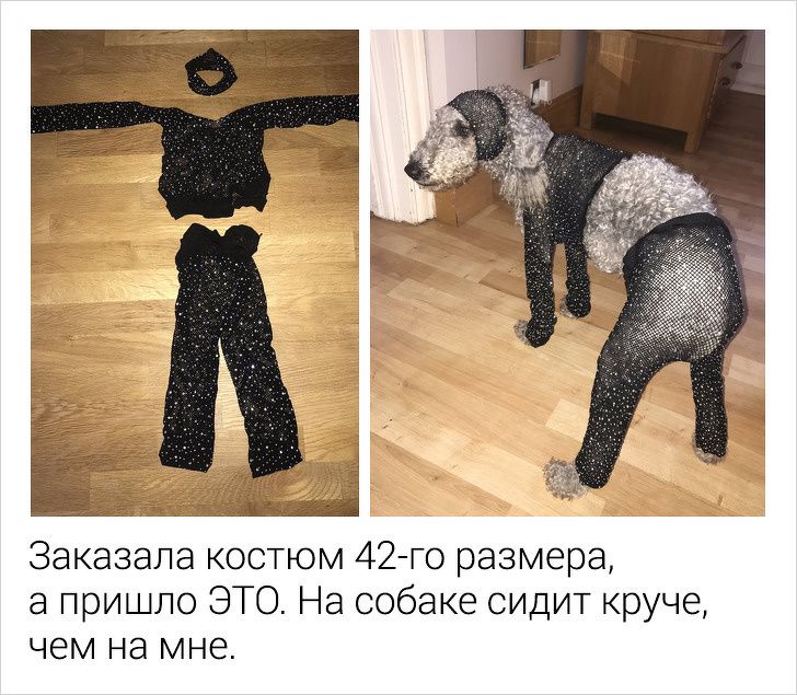 16 доказательств того, что отзывы в интернете — это настоящая драма
