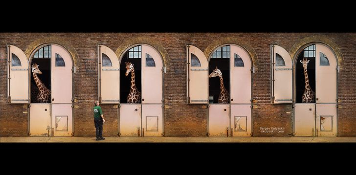 20+ кадров от фотохудожника- путешественника, которые докажут, что вокруг нас — красота, доброта и много поводов для улыбки