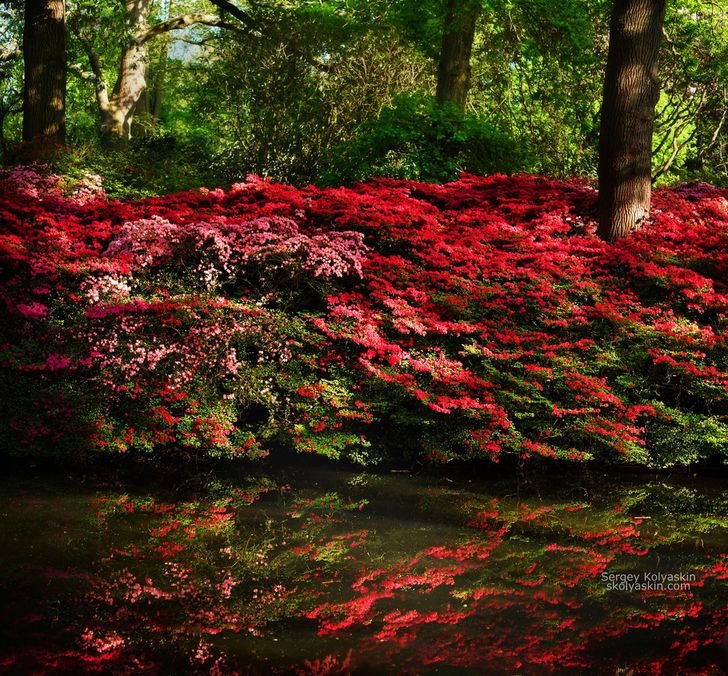 20+ кадров от фотохудожника- путешественника, которые докажут, что вокруг нас — красота, доброта и много поводов для улыбки