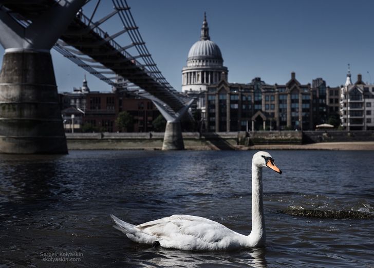 20+ кадров от фотохудожника- путешественника, которые докажут, что вокруг нас — красота, доброта и много поводов для улыбки