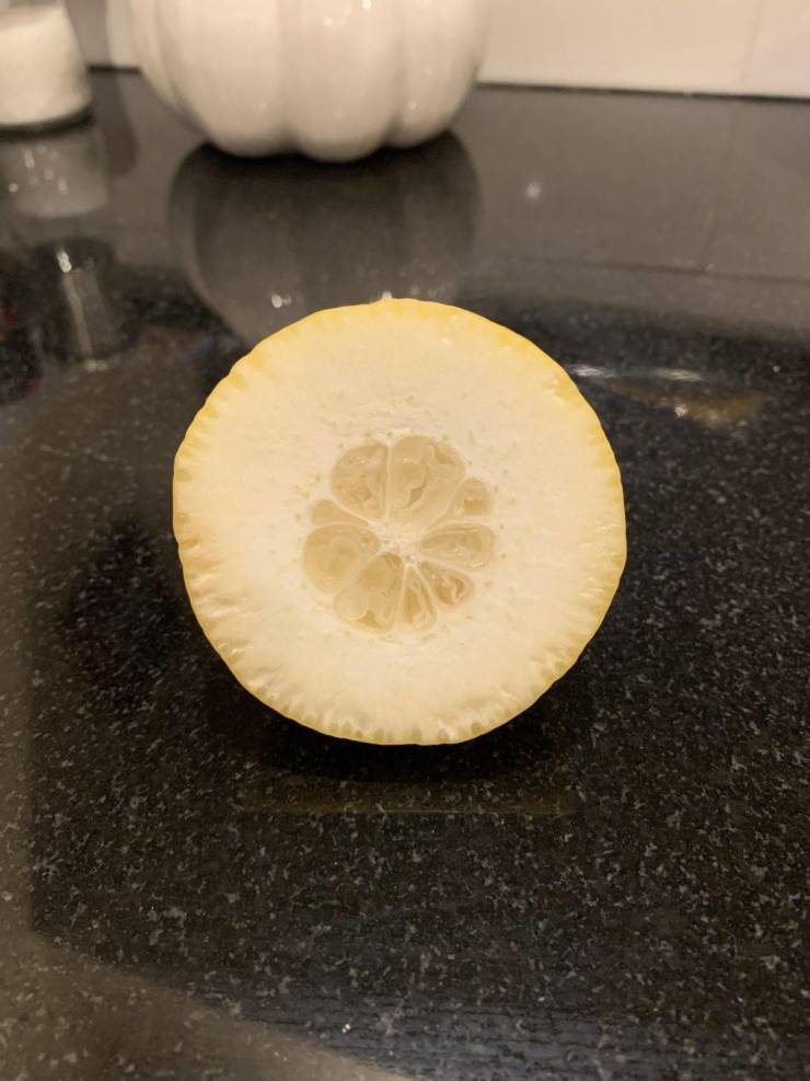 Смешные фото вечер 24 июня 2020