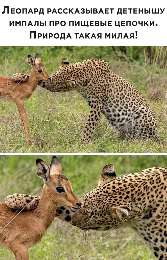 Смешные фото вечер 25 июня 2020