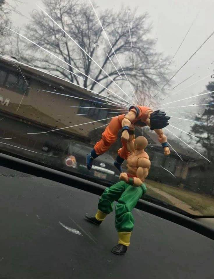 Смешные фото вечер 25 июня 2020