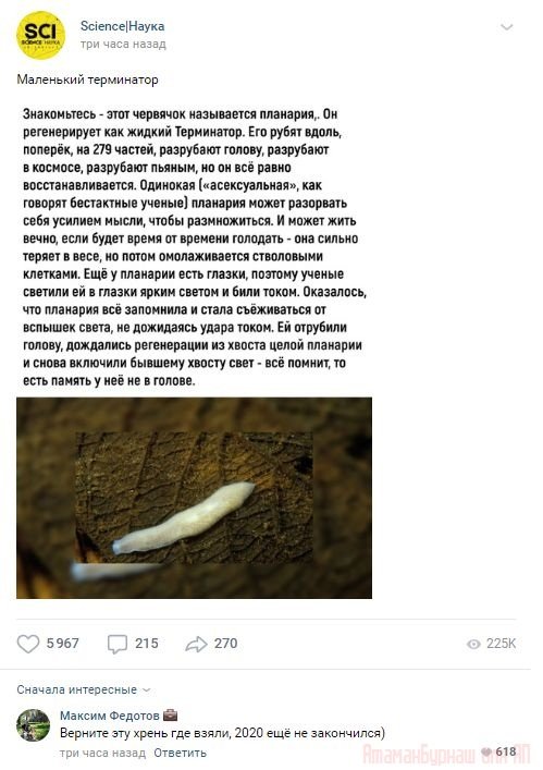 Комментарии к постам в разных группах