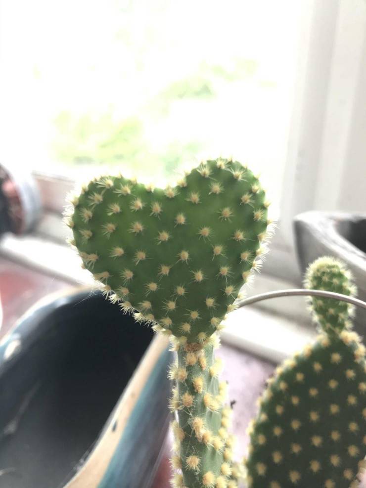 Смешные фото вечер 30 июня 2020