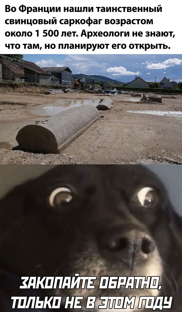 Смешные фото вечер 3 июля 2020