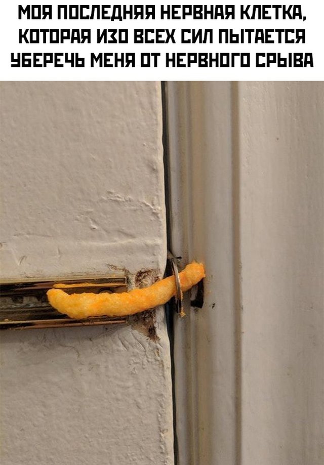 Смешные фото вечер 3 июля 2020