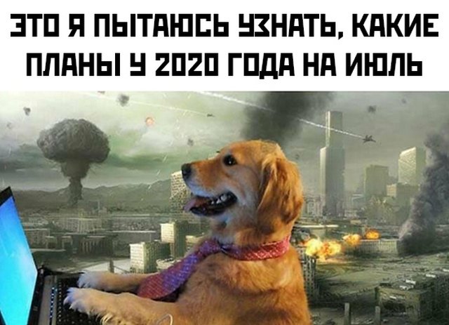 Смешные фото вечер 3 июля 2020