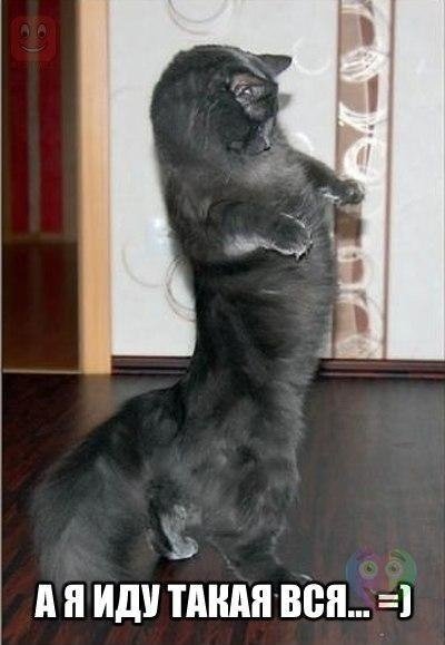 Чуток картинок