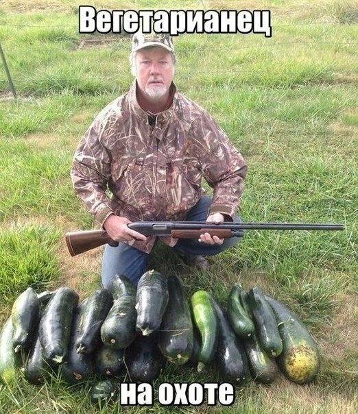 Чуток картинок