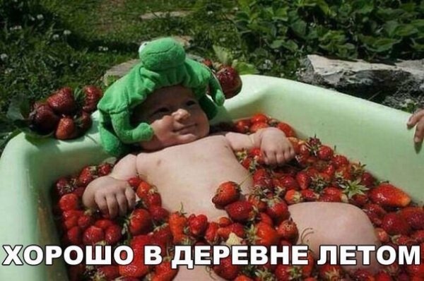 Чуток картинок