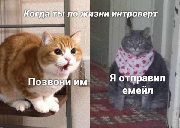 Когда ты очень не любишь разговаривать с людьми, но обстоятельства тебя заставляют