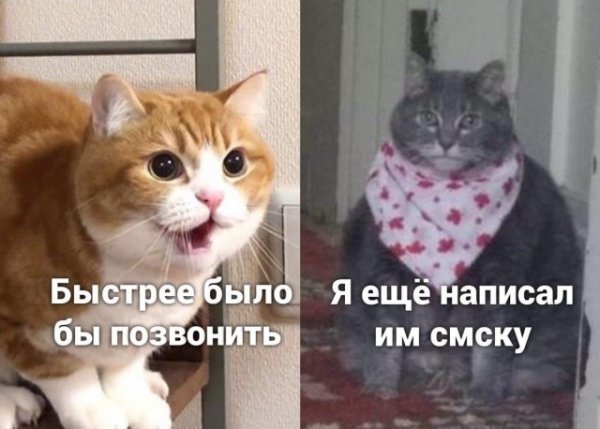 Когда ты очень не любишь разговаривать с людьми, но обстоятельства тебя заставляют