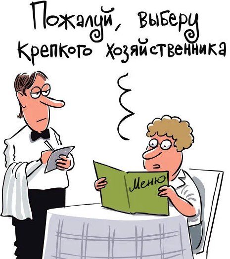 "Овуляшная демократия": как наши женщины выбирают будущее страны и должно ли у них быть на это право