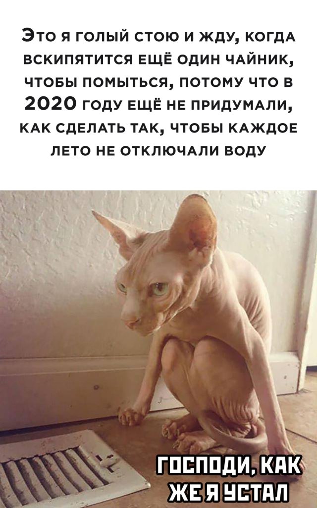 Смешные картинки 10 июля 2020