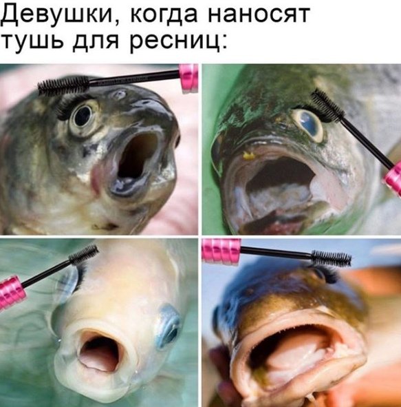 Нестандартный юмор :)