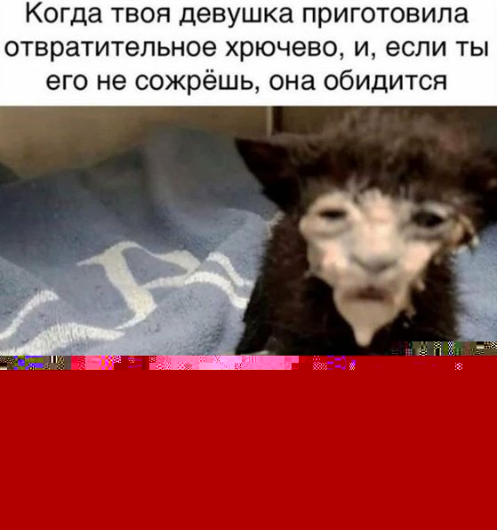 Нестандартный юмор :)