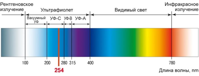 Почему ультрафиолет так эффективно убивает микробы? Почему ультрафиолет так эффективно убивает микробы?
